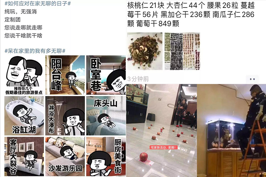 鼠年春節活動 鼠年春節活動