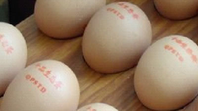 雞蛋打標(biāo)