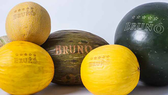 食品激光打標(biāo)機(jī),食品激光打標(biāo),激光打標(biāo)食物