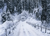 冬至大如年，大族粵銘集團(tuán)祝您冬至快樂！