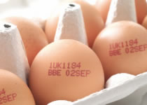 激光打標機技術為雞蛋標記ta的專屬身份